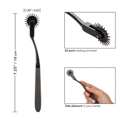 PLEASURE PINWHEEL WHEEL