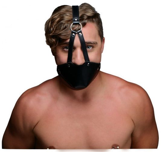 Mouth Harness With Ball Gag