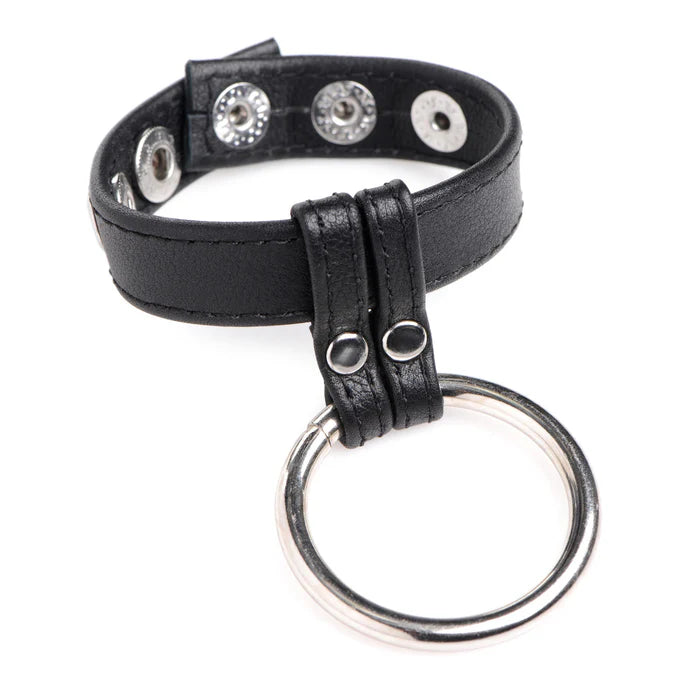 Leather And Steel Cock And Ball Ring