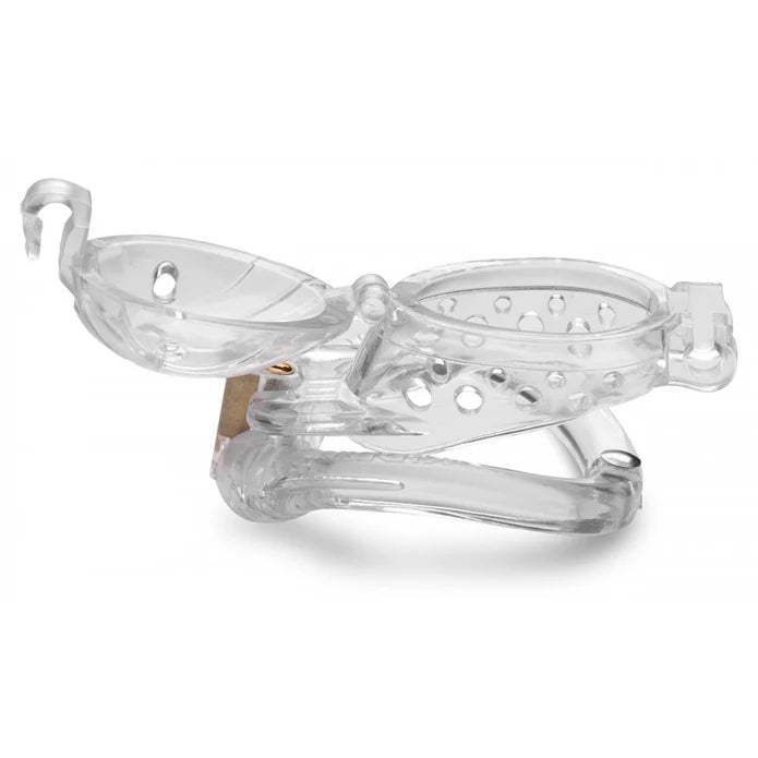 DOUBLE LOCKDOWN LOCKING CUSTOMIZABLE CHASTITY CAGE - CLEAR