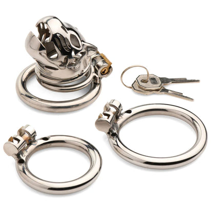 CAGED COUGAR LOCKING CHASTITY CAGE