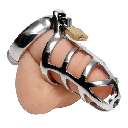 Locking Chastity Cock Cage