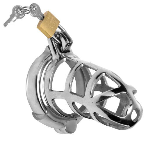 Locking Chastity Cock Cage